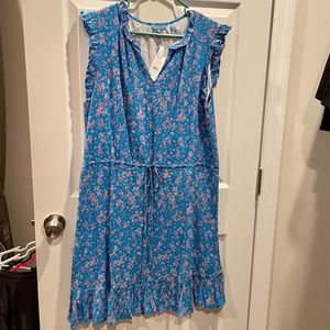 NWT Lucinda Popover dress
